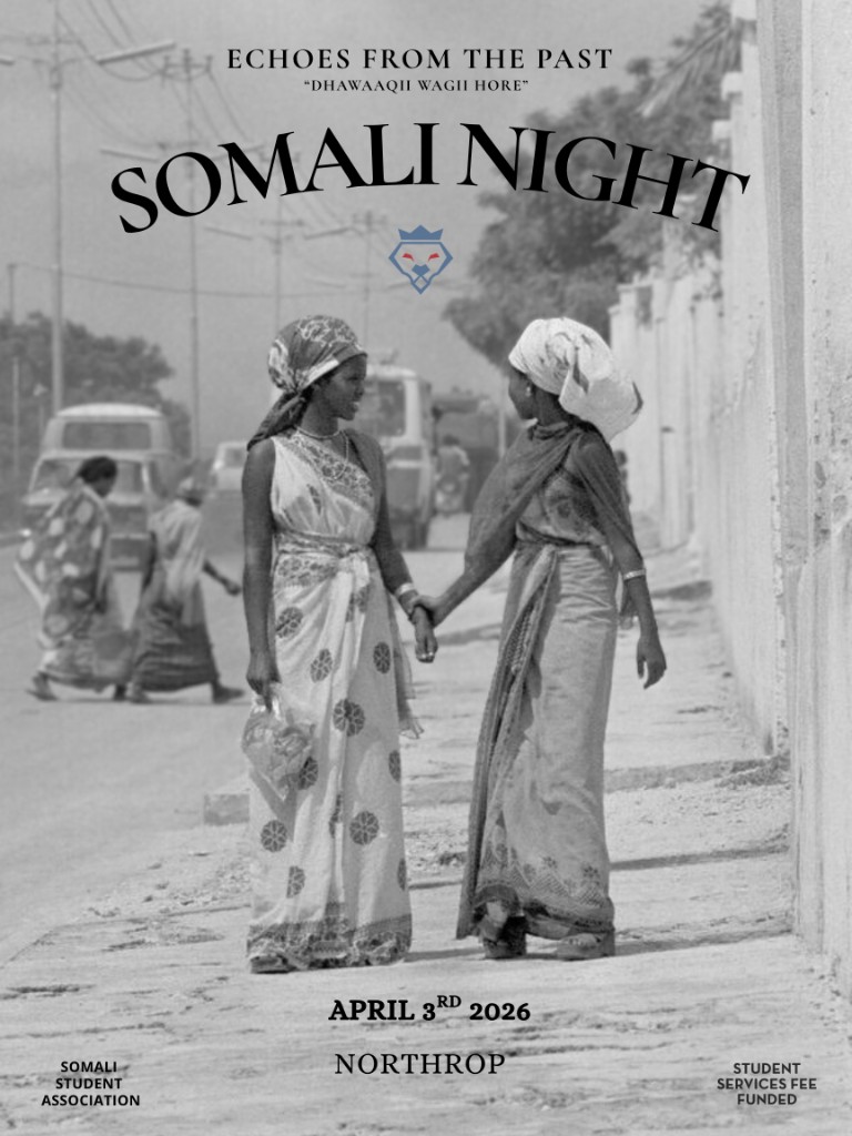 Somali Night poster